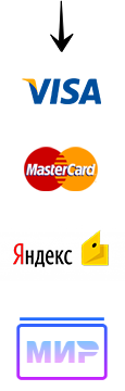 VISA MasterCard YandexMoney